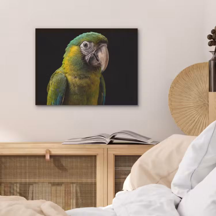 Ara - Portret - Groen PET vilt klein -sfeer3