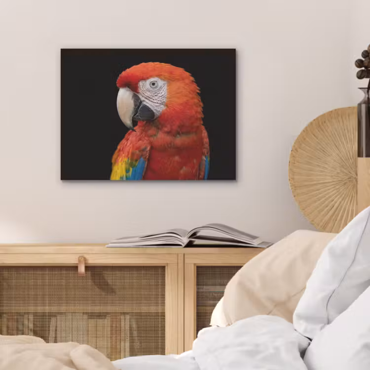 Ara - Portret - Rood PET vilt klein -sfeer3