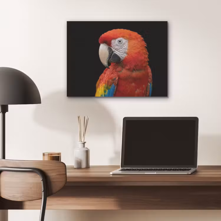 Ara - Portret - Rood PET vilt klein -sfeer5