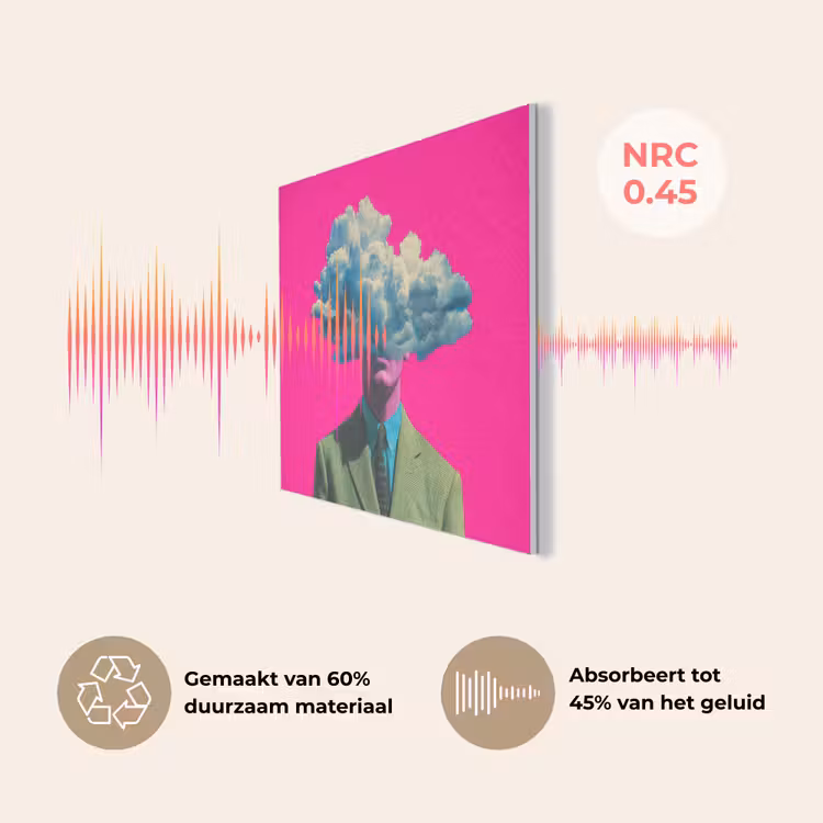 Man - Pak - Wolk - Roze PET vilt klein -USP_NL