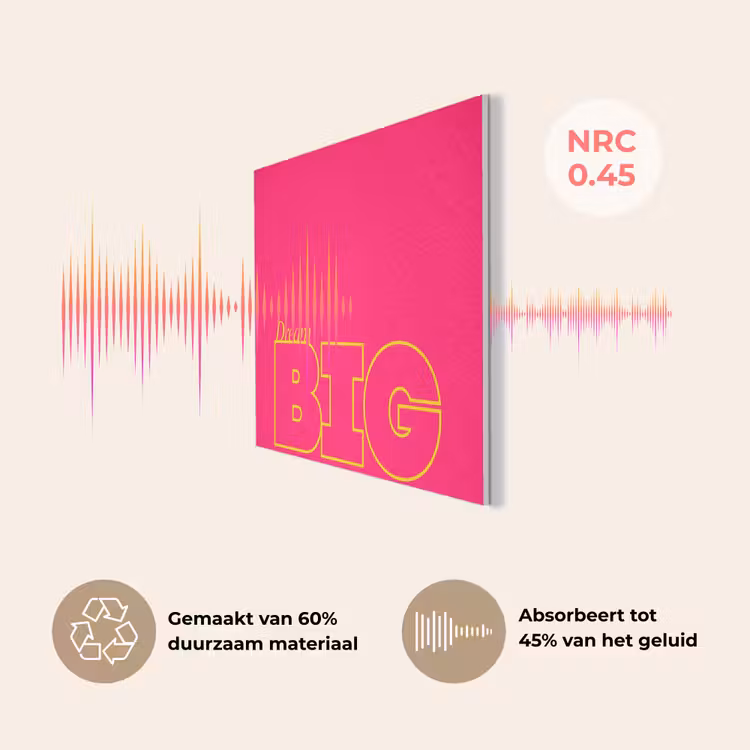 Minimalistisch - Roze - Dream big - Grafisch PET vilt klein -USP_NL