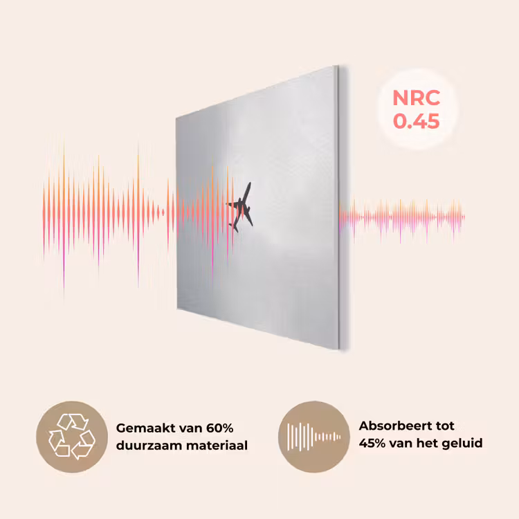 Minimalistisch - Silhouet - Zwart - Vliegtuig PET vilt klein -USP_NL
