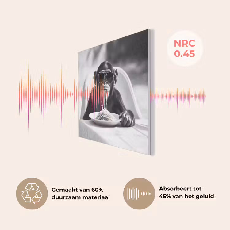 Aap - Spaghetti - Zonnebril - Zwart wit - Cool - Dier PET vilt klein -USP_NL
