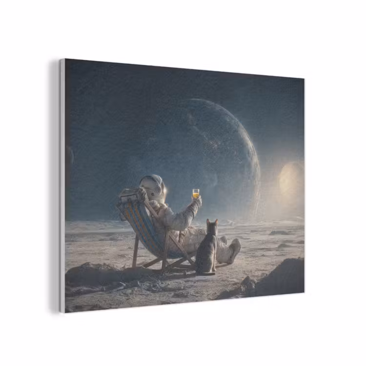 Maan - Kat - Astronaut - Ruimte PET vilt klein -3d