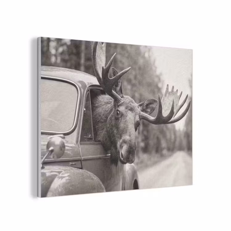 Eland - Auto - Gewei - Zwart - Wit PET vilt klein -3d