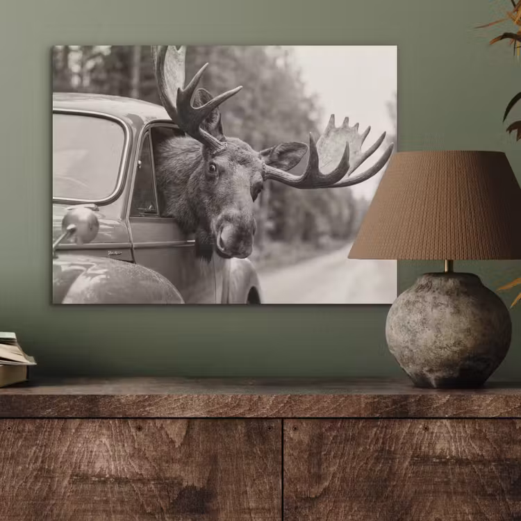 Eland - Auto - Gewei - Zwart - Wit PET vilt klein -sfeer2