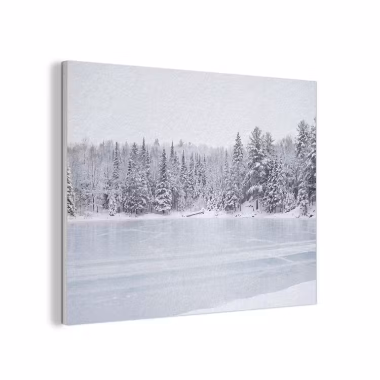 Meer - Dennen - IJs - Winter - Rustgevend PET vilt klein -3d