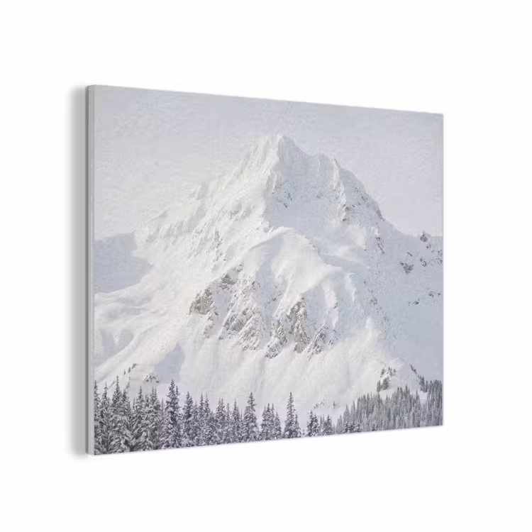 Berg - Sneeuw - Winter - Natuur - Wit PET vilt klein -3d