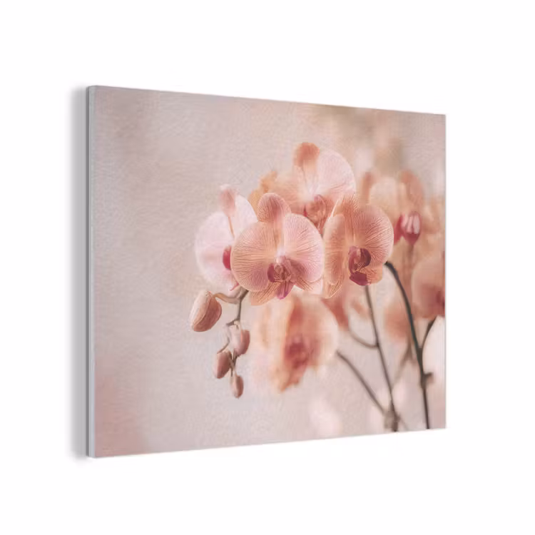 Orchidee - Bloemen - Roze - Bloemblaadjes PET vilt klein -3d
