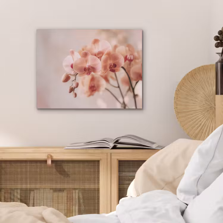 Orchidee - Bloemen - Roze - Bloemblaadjes PET vilt klein -sfeer3