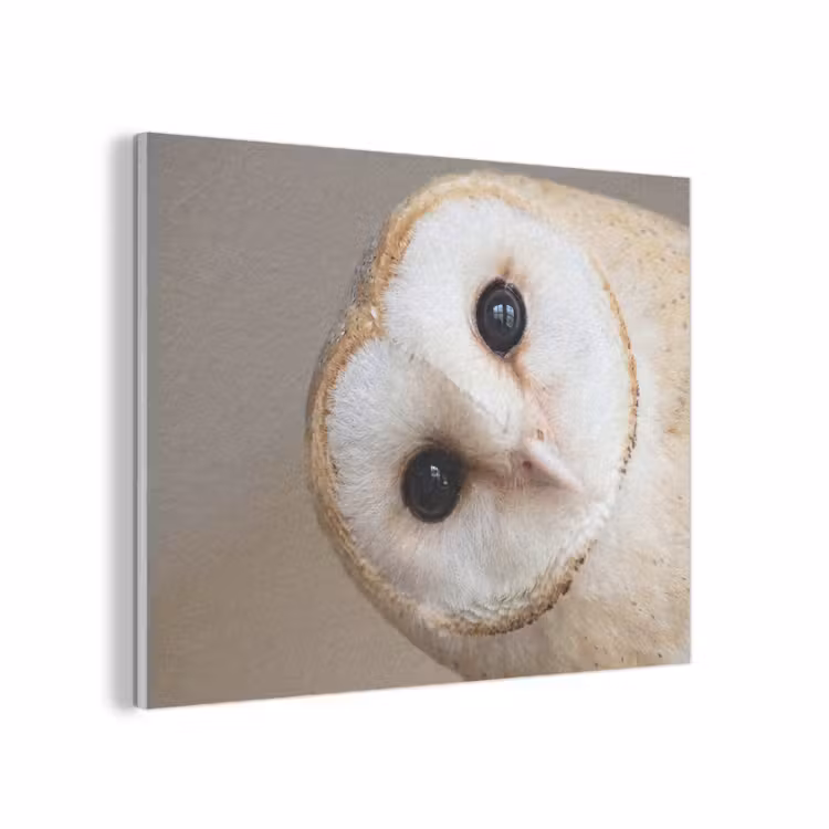 Uil - Bruin - Wit PET vilt klein -3d