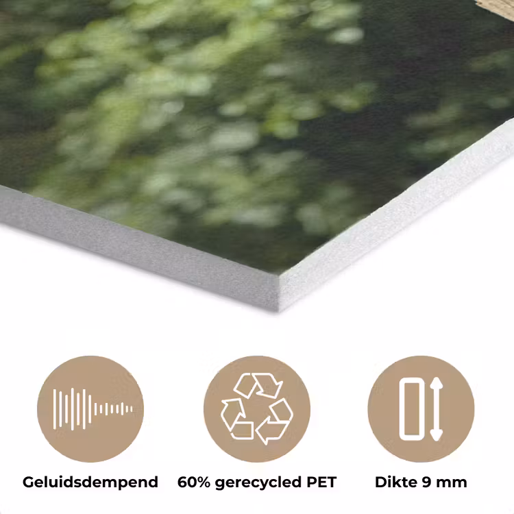 Uil - Boomstronk - Bos - Lucht PET vilt klein -closeup_NL