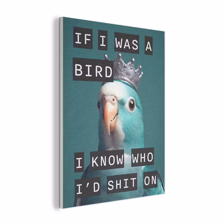 Parkiet - Turquoise - Quotes - Decoratie PET vilt klein -3d