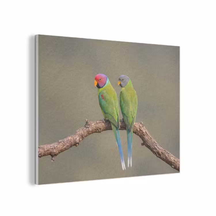 Papagaai - Tak - Natuur - Kleurrijk PET vilt klein -3d