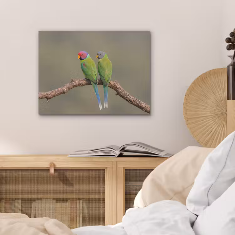 Papagaai - Tak - Natuur - Kleurrijk PET vilt klein -sfeer3