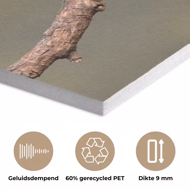 Papagaai - Tak - Natuur - Kleurrijk PET vilt klein -closeup_NL