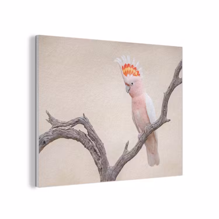 Papagaai - Tak - Roze PET vilt klein -3d
