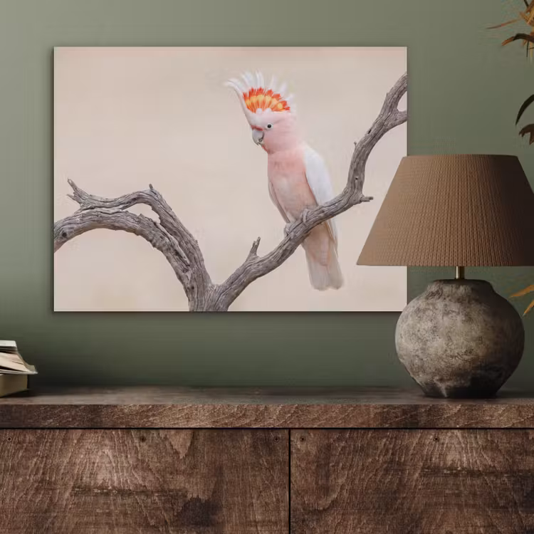 Papagaai - Tak - Roze PET vilt klein -sfeer2