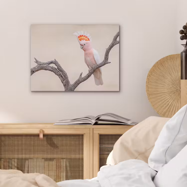 Papagaai - Tak - Roze PET vilt klein -sfeer3