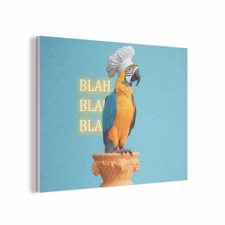 Papegaai - Koksmuts - Quote - Neon PET vilt klein -3d