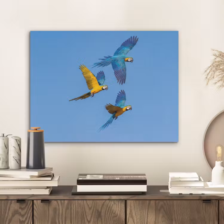 Papagaai - Vliegen - Blauw - Geel PET vilt klein -sfeer1