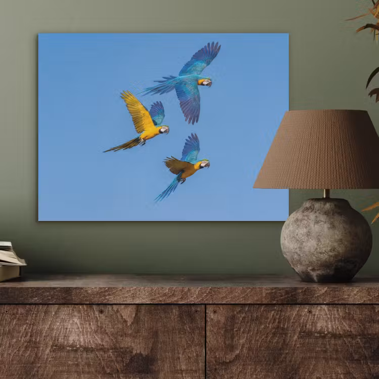 Papagaai - Vliegen - Blauw - Geel PET vilt klein -sfeer2