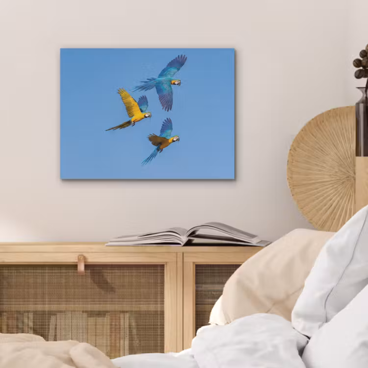 Papagaai - Vliegen - Blauw - Geel PET vilt klein -sfeer3