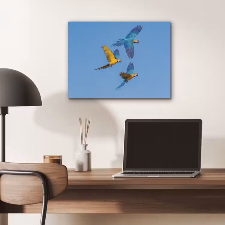 Papagaai - Vliegen - Blauw - Geel PET vilt klein -sfeer5