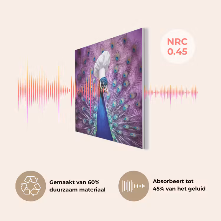 Pauw - Koksmuts - Cool - Paars PET vilt klein -USP_NL