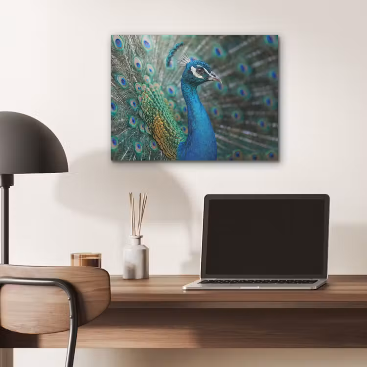 Pauw - Veren - Blauw PET vilt klein -sfeer5