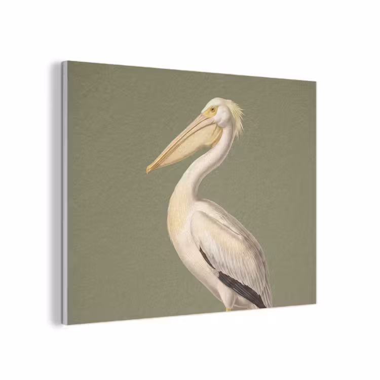 Pelikaan - Wit - Vogel - Klassiek - Natuur PET vilt klein -3d