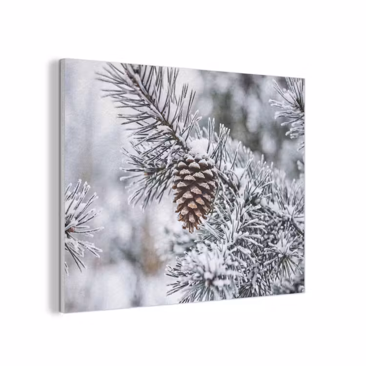 Dennenappel - Tak - Sneeuw - Winter - Sfeervol PET vilt klein -3d