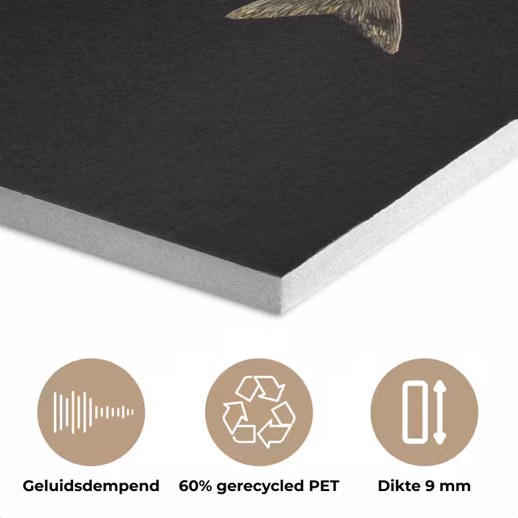 Vissen - Goud - Zwart PET vilt klein -closeup_NL