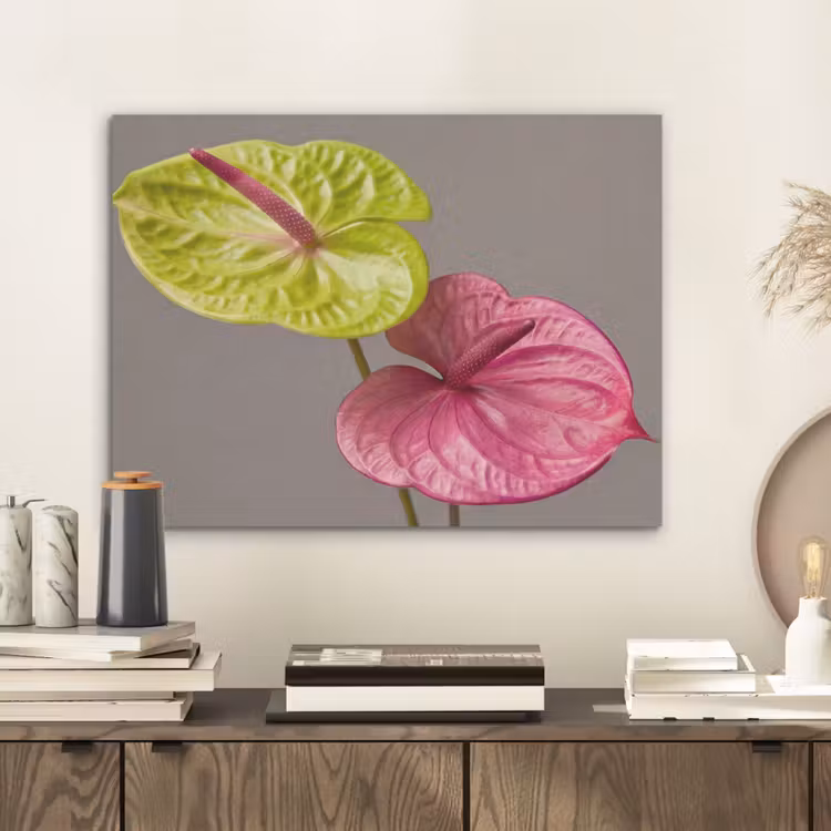 Planten - Anthurium - Groen - Roze PET vilt klein -sfeer1