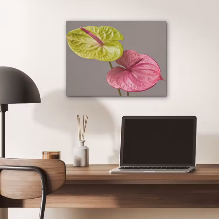 Planten - Anthurium - Groen - Roze PET vilt klein -sfeer5