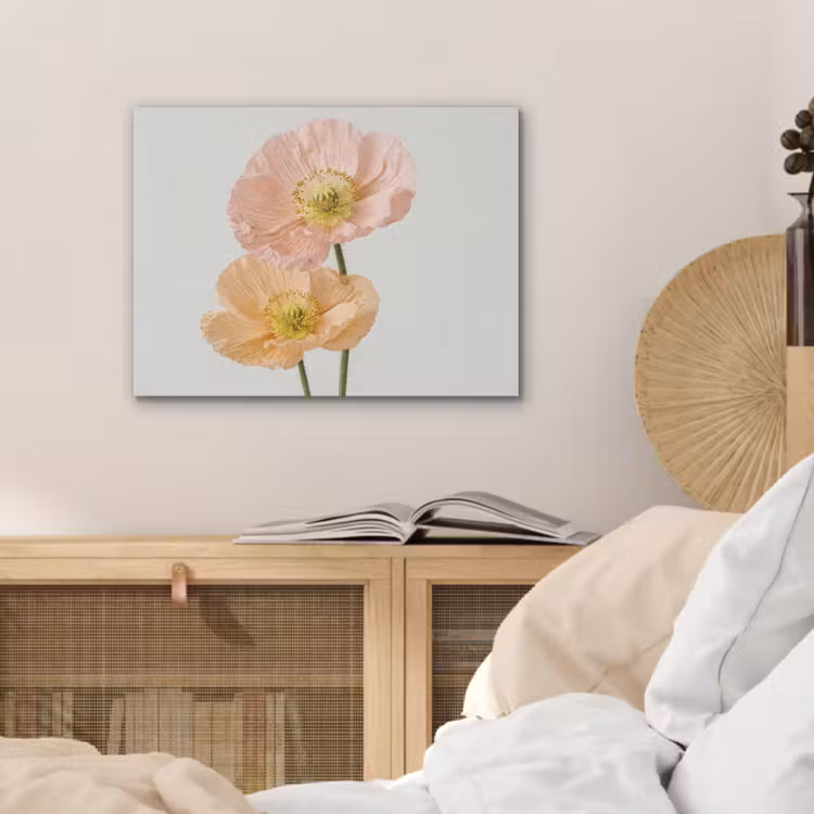 Papavers - Botanisch - Roze PET vilt klein -sfeer3