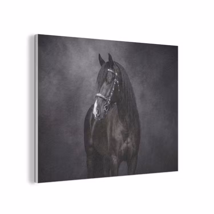Portret - Paard - Zwart PET vilt klein -3d