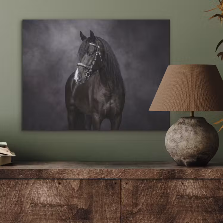 Portret - Paard - Zwart PET vilt klein -sfeer2