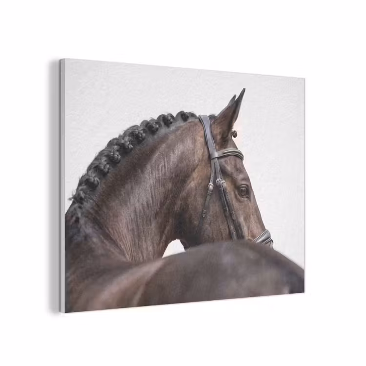 Portret - Paard - Elegant PET vilt klein -3d