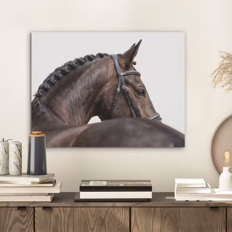 Portret - Paard - Elegant PET vilt klein -sfeer1