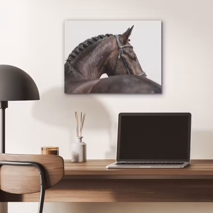 Portret - Paard - Elegant PET vilt klein -sfeer5