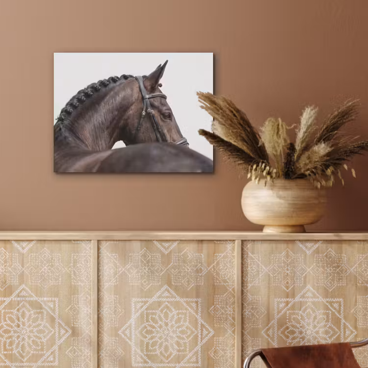 Portret - Paard - Elegant PET vilt klein -sfeer4