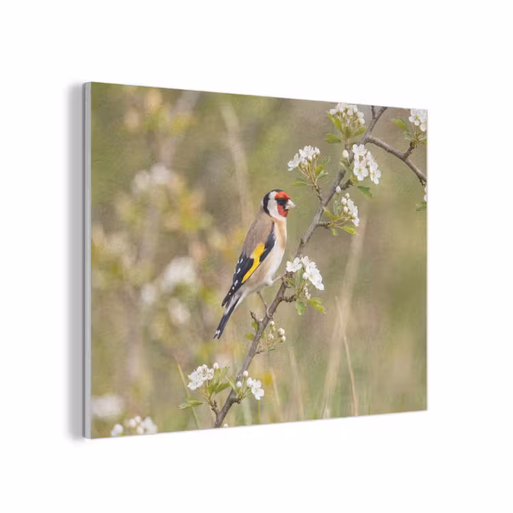 Putter - Bloesem - Lente - Natuur - Kleurrijk PET vilt klein -3d