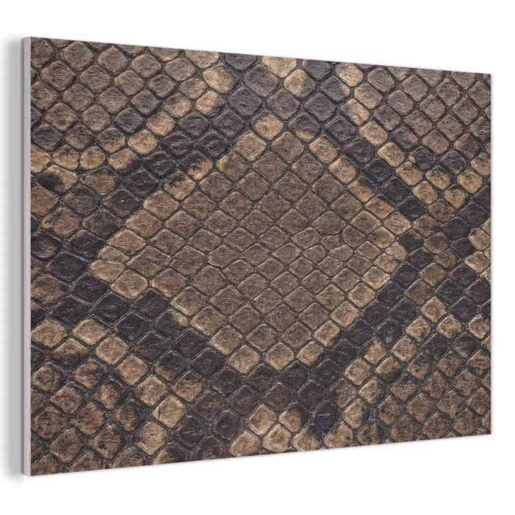 Python - Schubben - Brons PET vilt klein -3d