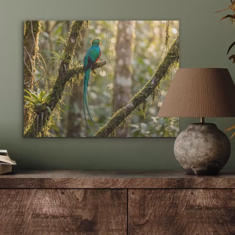 Quetzal - Jungle - Natuur - Groen PET vilt klein -sfeer2