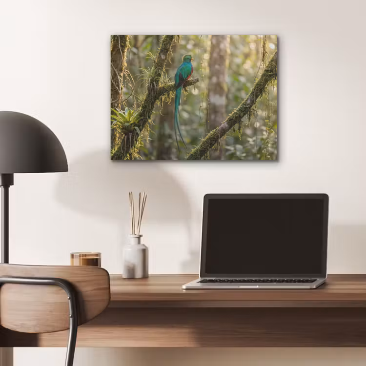 Quetzal - Jungle - Natuur - Groen PET vilt klein -sfeer5