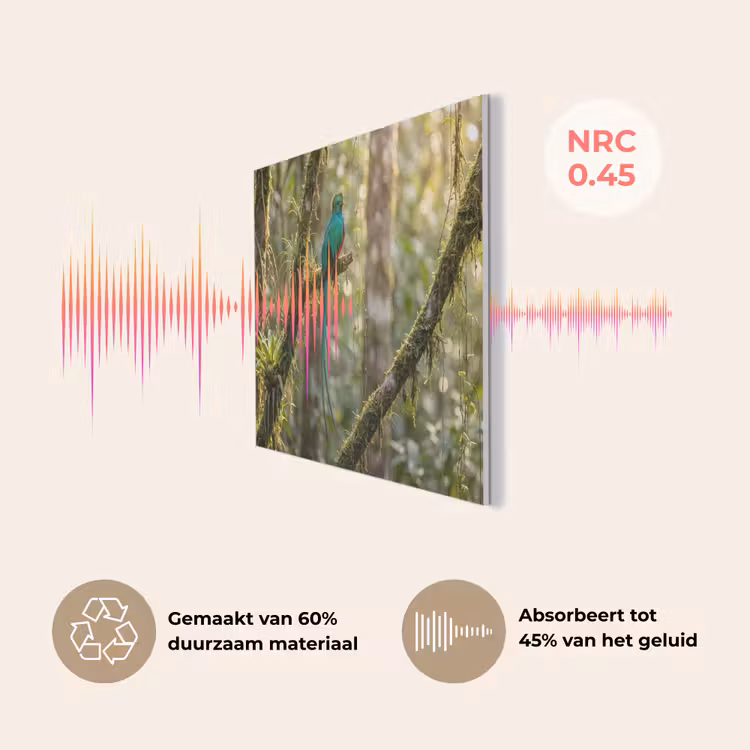 Quetzal - Jungle - Natuur - Groen PET vilt klein -USP_NL