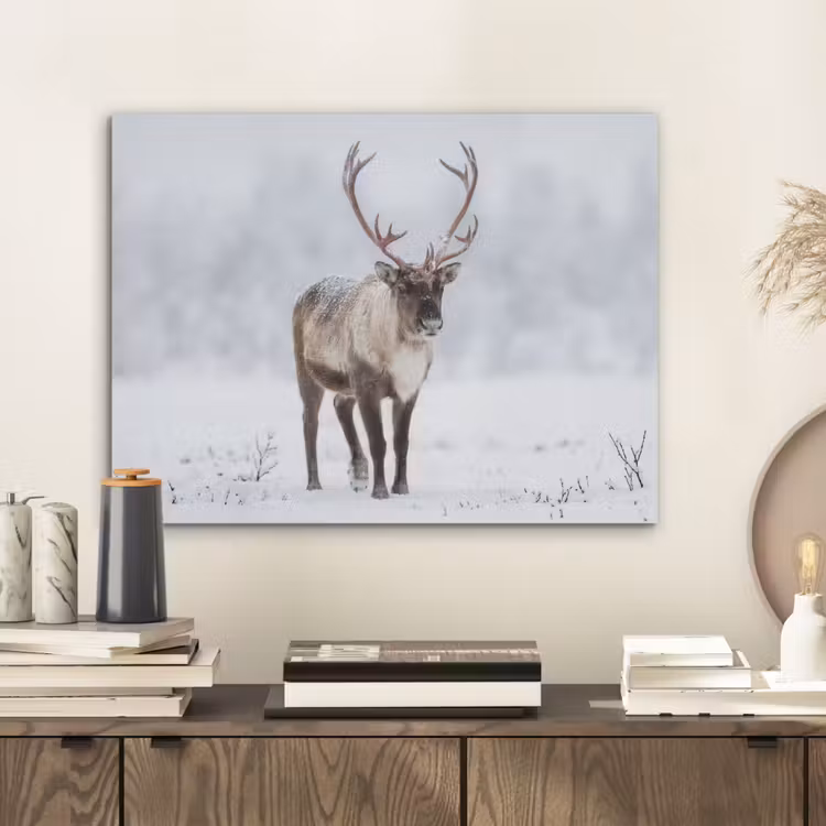 Rendier - Gewei - Toendra - Sneeuw - Wild PET vilt klein -sfeer1
