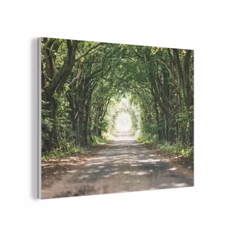 Weg - Bomen - Natuur - Groen PET vilt klein -3d