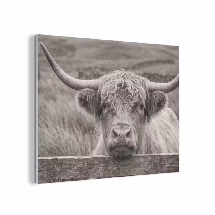 Schotse hooglander - Zwart - Wit - Hout PET vilt klein -3d